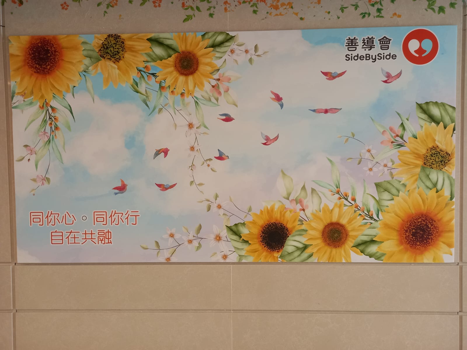 善導會